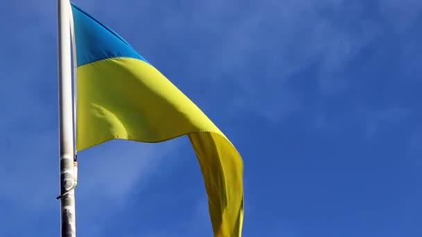 Ukraine Flag Slowly Moving Wind Blue Sky — Wideo stockowe