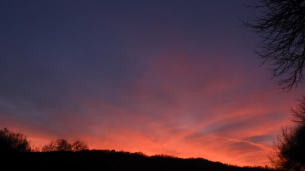 Sunset Time Lapse Clouds Trees Silhouette — Video Stock