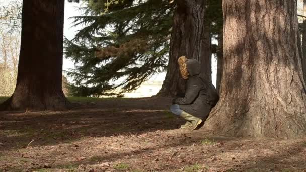 Woman Takes Rest Woodland Sunlight Shines Trees — Video