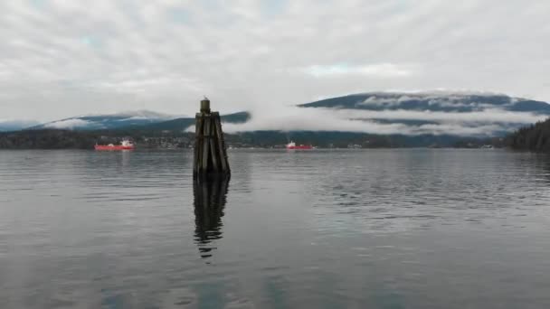 Various Drone Shots Barnet Marine Park Burnaby British Columbia Canada — Vídeo de stock