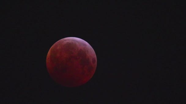 Close Video Super Blood Wolf Moon — Video Stock