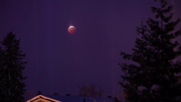 Czas Upływu Super Krwawego Księżyca Wilka — Wideo stockowe