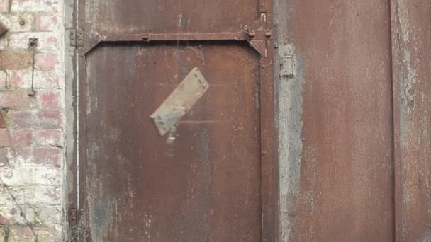 Old Rusty Metal Door Slams Shut — Stockvideo