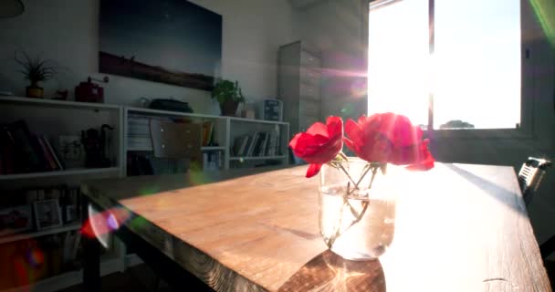 Timelapse Van Een Bloem Een Glas Water — Stockvideo