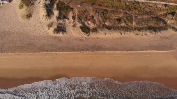 Drone Dolly Shot Beach Mosselbaai South Africa — Video Stock