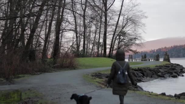 Young Woman Walking Her Small Black Dog Blue Harness Pacific — Video Stock