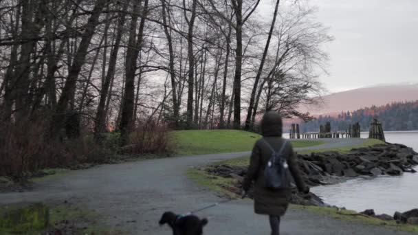 Young Woman Walking Her Small Black Dog Blue Harness Pacific — стоковое видео