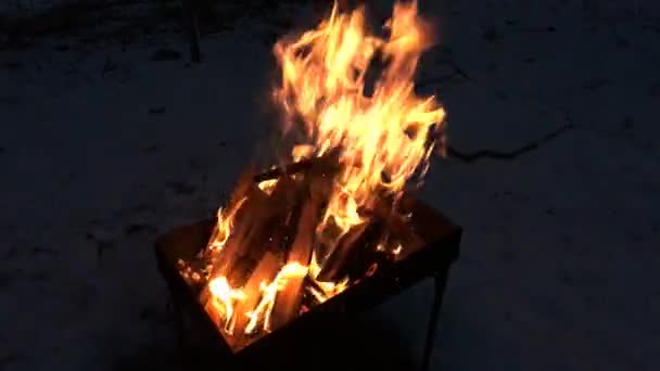 Barbacoa Fuego Día Invierno Por Noche — Vídeo de stock