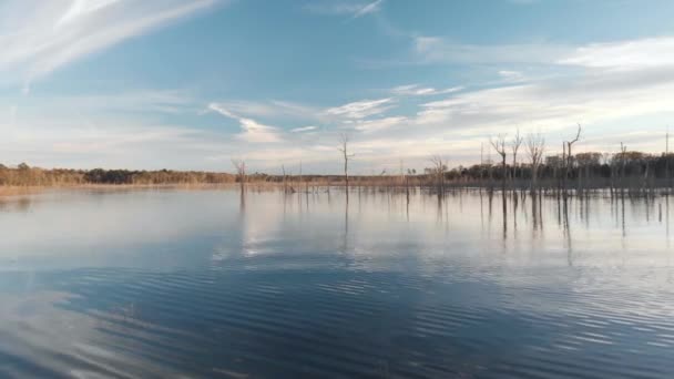 Slowly Flying Just Surface Gently Rippling Lake Passing Lonely Tree — Vídeo de Stock