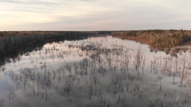 Slowly Descending While Flying Hundreds Bare Trees Rising Out Smooth — 图库视频影像