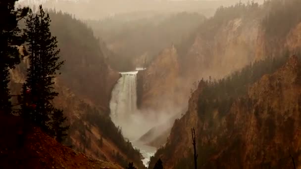 Artist Point Yellow Stone National Park Observing Water Fall Starts — Stock Video