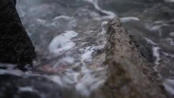 Few Crabs Hawaii Sitting Rock While Waves Crash Them — Stockvideo