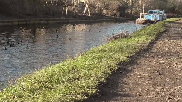 Barge Approaching Distance Canal Waterway — Wideo stockowe