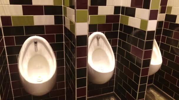 Mens Toilet Urinal Video — Stock Video