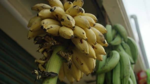 Small Bananas Selling Market Asia — Video