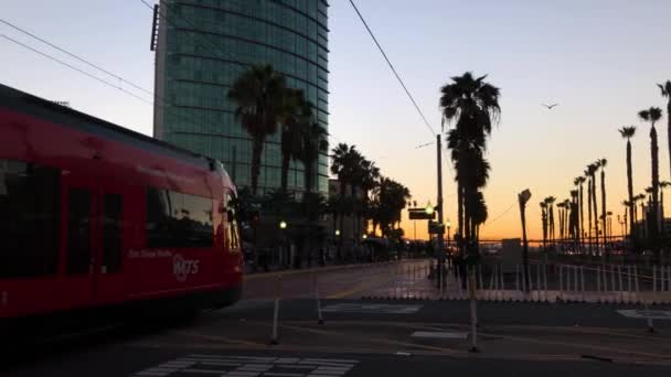 San Diego Downtown Trolley Line Sunset Beautiful Palm Trees — Stock Video