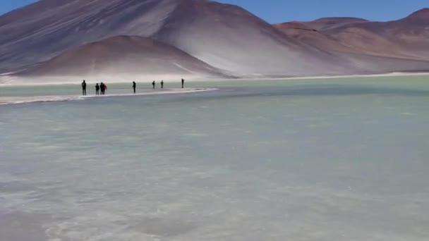 Panoramic View Lake High Altitude Atacama Chile — Stok Video