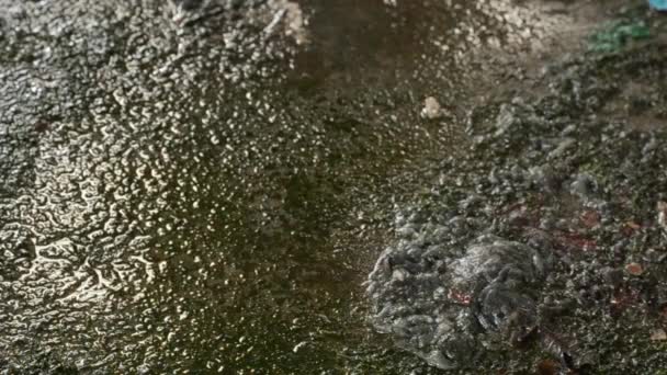 Water Drops Falling Grungey Dirty Floor — Vídeo de stock