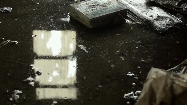 Puddle Reflects Window Grungey Dirty Floor — Video Stock