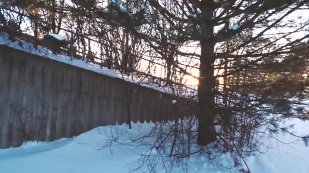 Dramatic Shot Light Rays Passing Trees Golden Hour Alternate Angle — Stockvideo