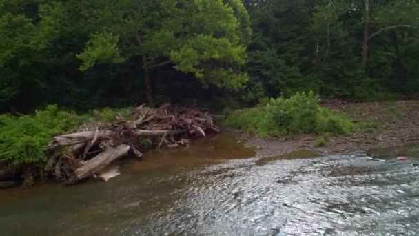 Rocky River Drone Πλάνα Χαμηλό Υψόμετρο — Αρχείο Βίντεο