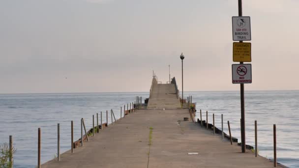 Beach Dock Early Morning Lake Erie — Stockvideo