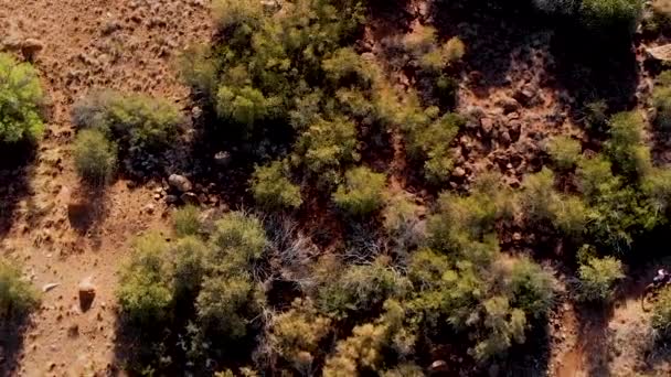 Aerial Shot Seguindo Ciclista Montanha Montando Uma Única Pista — Vídeo de Stock