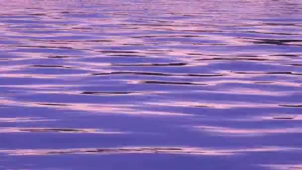 Small Water Waves Sunset Lake — Stockvideo