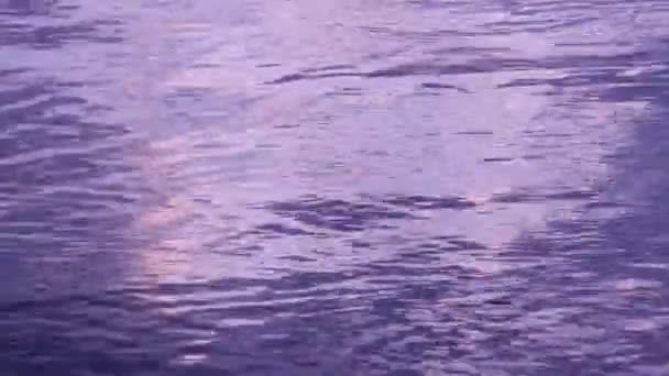 Small Water Waves Sunset Lake — Stockvideo