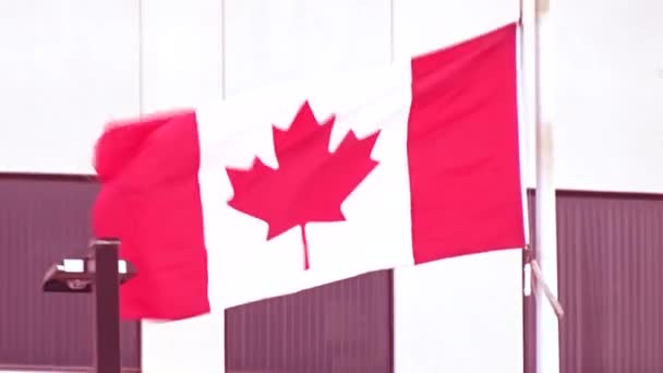 Canadian Flag Panning Out Government Building Background — Stok video