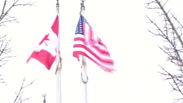 Bendera Kanada Dan Amerika Tertiup Angin — Stok Video