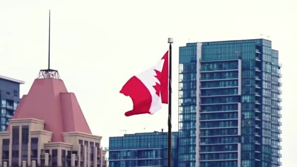 Канадський Прапор Висить Передньому Плані Міського Ландшафту — стокове відео