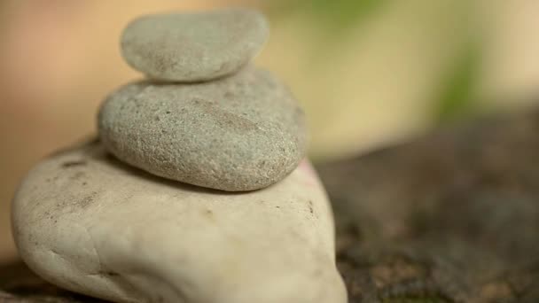 Zen Pebbles Garden Gentle Breeze — стоковое видео