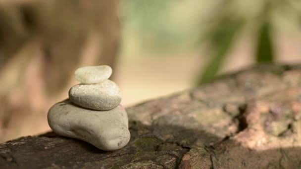 Zen Pebbles Garden Gentle Breeze Sunlight — Video