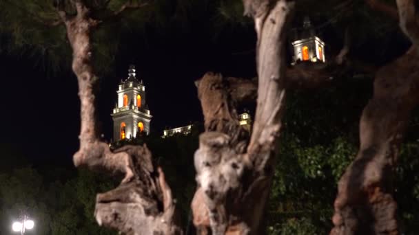 Night View Catedral San Ildefonso Merida Yacatan Mexico Shot Pine — Video