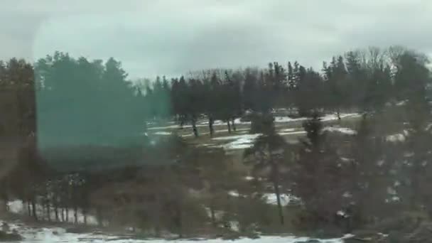 Scenery Trees Lake Shot Speeding Train Window — Video Stock