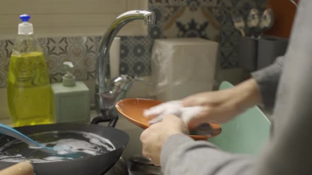 Dish Washing Plate Using Sponge — Stock Video