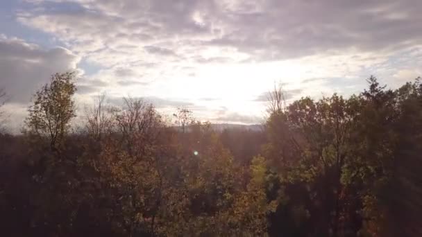 Images Drones Montant Dessus Lignes Hydroélectriques Une Forêt Une Rivière — Video