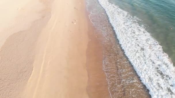 Drone Shot Beach Seagulls Mosselbaai South Africa — Stok Video