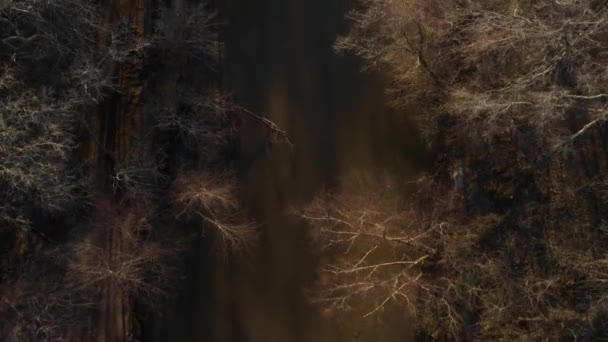 Flying Looking Muddy Appomattox River Flows High Bridge Trail Virginia — Video Stock