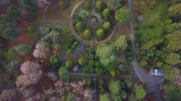 Aerial View Winter Botanical Garden Batumi Georgia Dron Flying Treetops — Vídeos de Stock