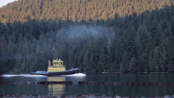 Scenes Barnet Marine Park Vancouver Yellow Tugboat Oil Tanker Green — Vídeo de Stock