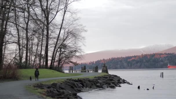 Young Woman Walking Her Small Black Dog Blue Harness Pacific — Video