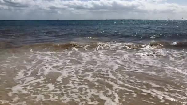 Wave Sand Beach Sunny Day — Stock video