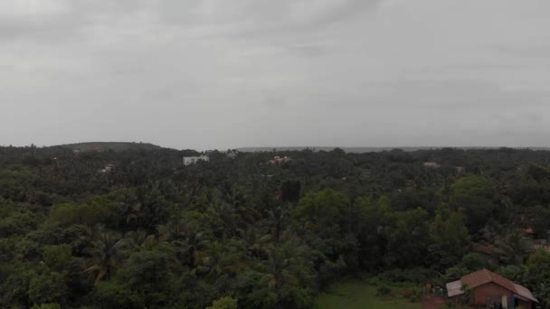 Indian Forest Green Feild Aerial Footage — Vídeos de Stock