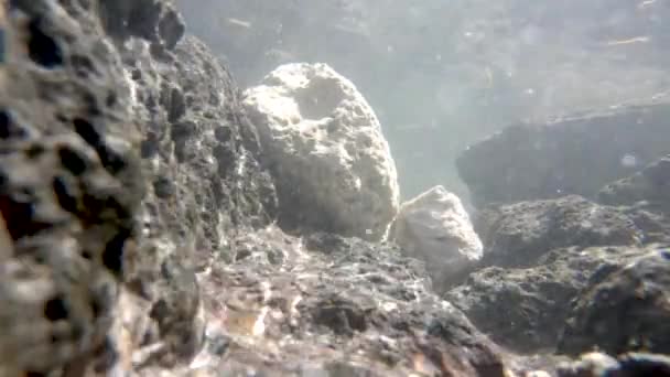 Close View Underwater Sea Rocks — Stockvideo