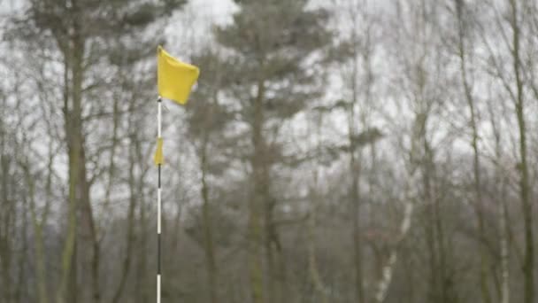 Yellow Golf Flag Blows Rural Golf Course — Stockvideo