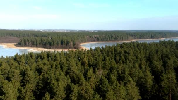 Zoomed Aerial View Enourmous Frozen Lake Vast Forest Winter Season — Stockvideo