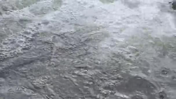 Whitewater Flowing Bubbling — Video