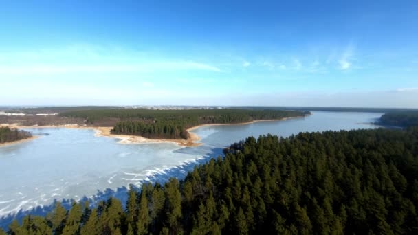 Beautiful Aerial Backward Shot Landscape Enourmous Frozen Lake Spruce Forest — Video Stock